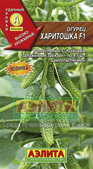 Огурец Харитошка 0,25г