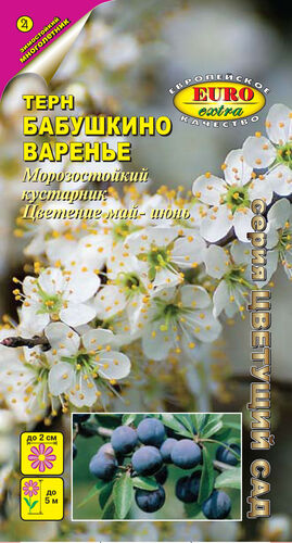 цТерн Бабушкино варенье 1г