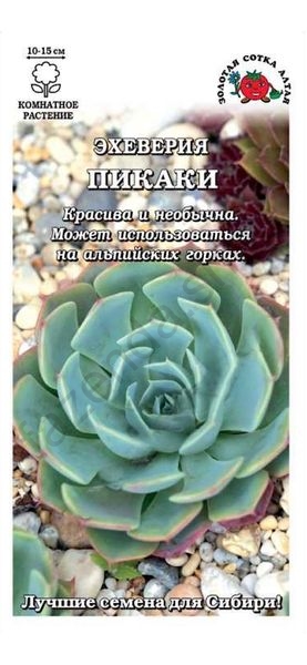 цЭхеверия Пикаки 5шт