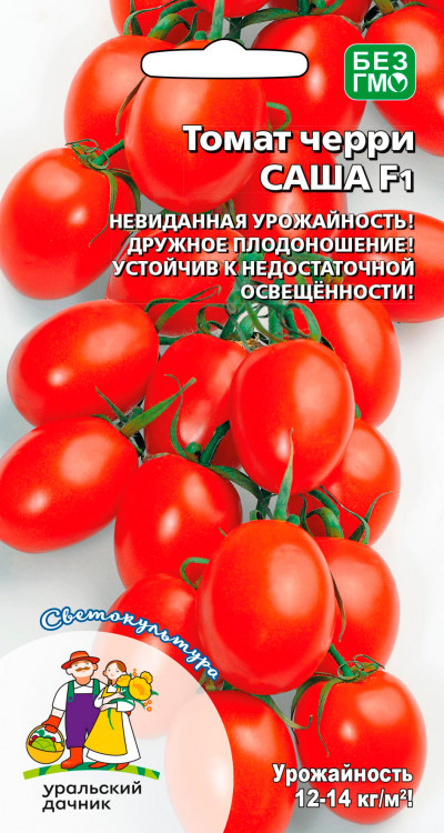 Томат черри Саша