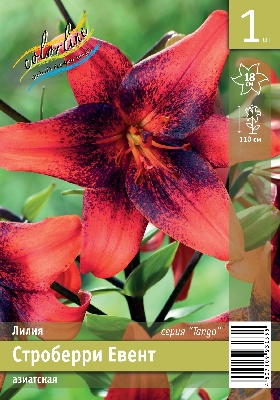 Лилия ЭКОНОМ-СЕРИЯ СТРОБЕРРИ ЕВЕНТ (1 шт)