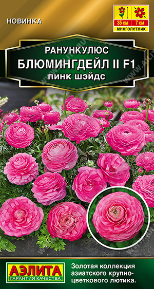 Ранункулюс Блюмингдейл пинк шэйдс  3шт