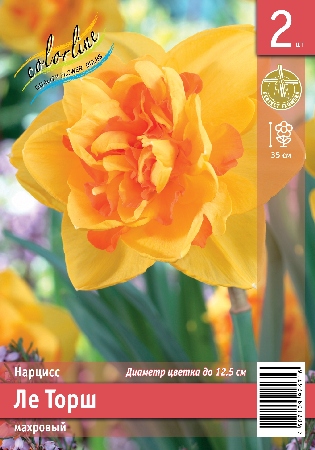 Нарцисс ЭКОНОМ-СЕРИЯ ЛЕ ТОРШ (2 шт)