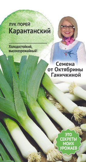 Лук порей Карантанский 0,5г (семена от Ганичкиной)