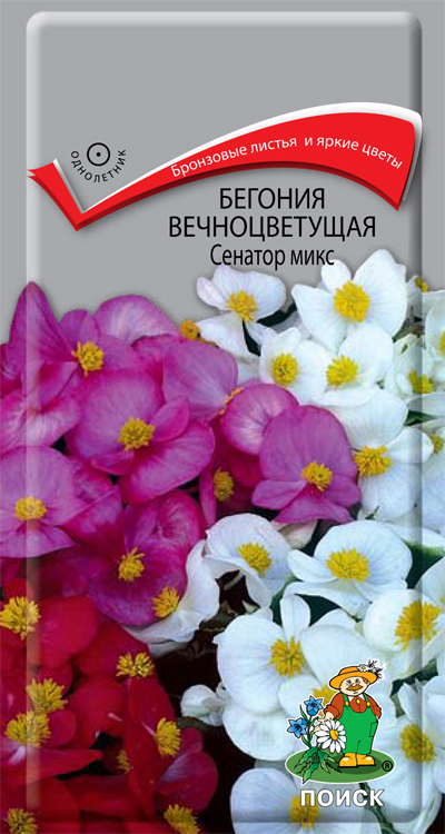 цБегония Сенатор Микс 10шт