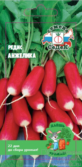 Редис Анжелика 2г