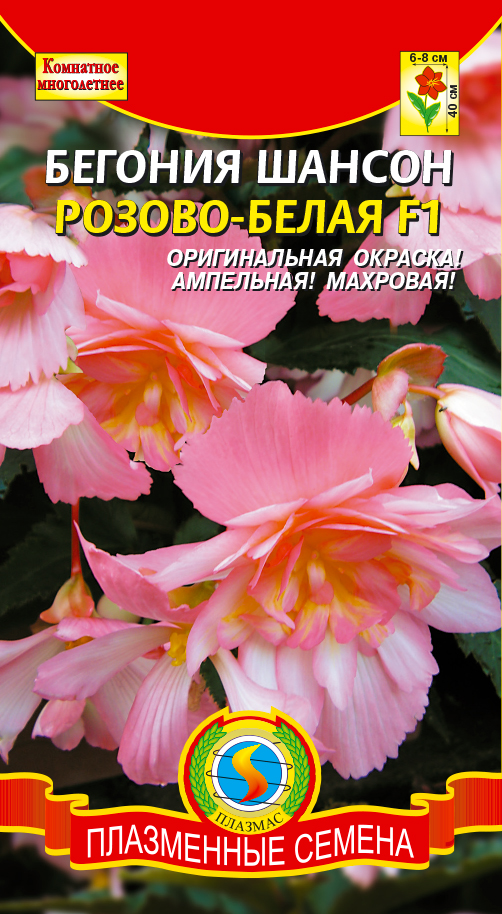 цБегония Шансон Розово-белая амп. 10шт