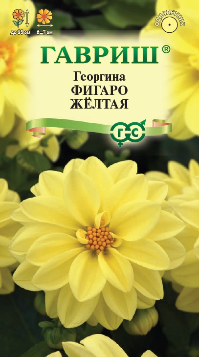 Георгина Фигаро желтая 7шт