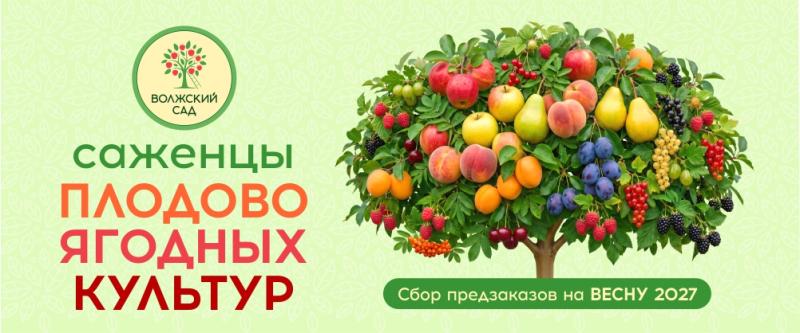 Сбор предварительных заказов на Саженцы плодово-ягодных культур