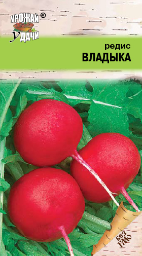 Редис Владыка 2г
