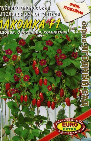 Клубника Лакомка ананасовая 4шт