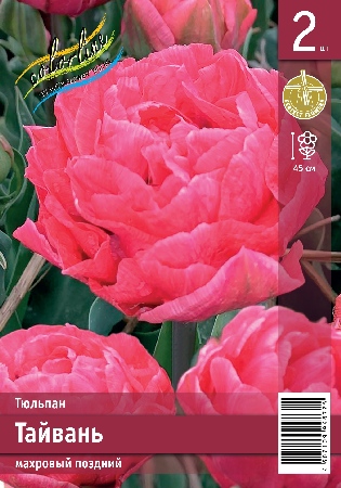 Тюльпан ЭКОНОМ-СЕРИЯ ТАЙВАНЬ (2 шт)