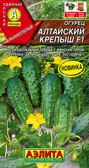 Огурец Алтайский крепыш 10шт