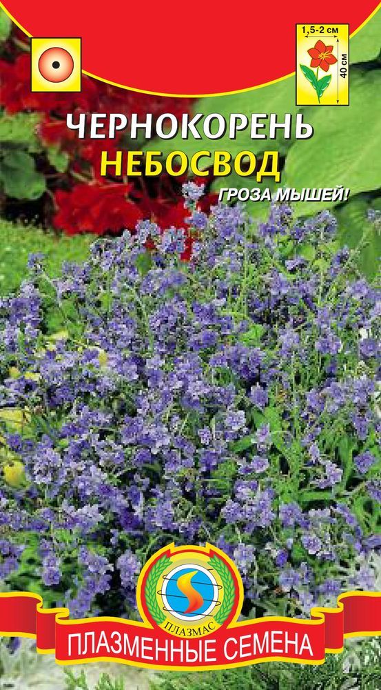 Чернокорень Небосвод 0,3г ГРОЗА МЫШЕЙ