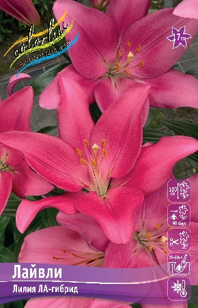 Лилия Лайвли (7 шт)