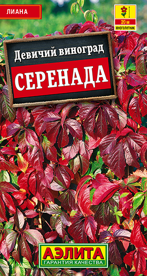 Девичий виноград Серенада 10шт
