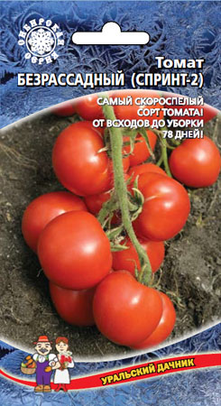 Томат Безрассадный 20шт