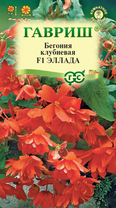 Бегония Эллада клубн. 4шт