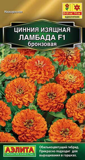 Цинния Ламбада бронзовая 12шт