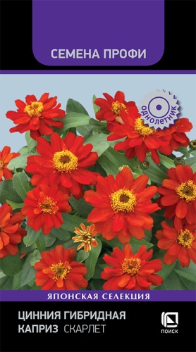 Цинния Каприз Скарлет 7шт (Семена Профи)