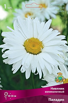Нивяник Паладин (1 шт)