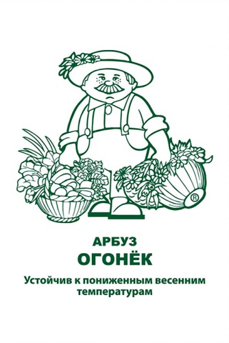 Арбуз Огонек 15шт