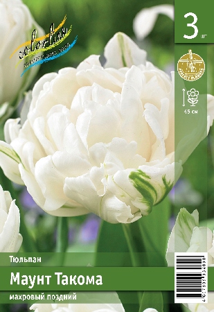 Тюльпан ЭКОНОМ-СЕРИЯ МАУНТ ТАКОМА (3 шт)