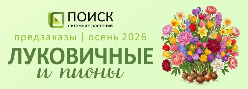 Сбор предзаказов на луковичные Поиск на осень 2026!