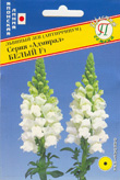 цЛьвиный зев Адмирал белый 10 шт