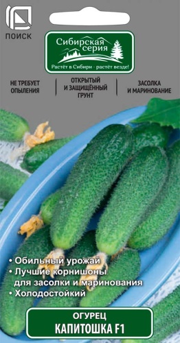 Огурец Капитошка 12шт (Сиб.серия)