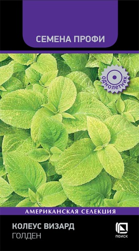 Колеус Визард Голден 10шт (Семена Профи)