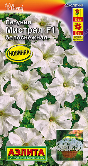 Петуния Мистрал белоснежная 7шт Петуния Мистрал белоснежная 7шт