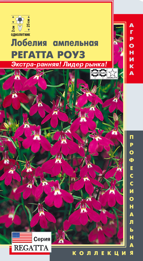 цЛобелия Регатта Роуз 8шт