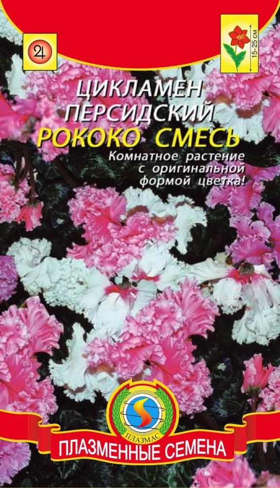 цЦикламен Рококо смесь 3шт