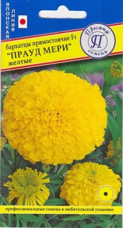 цБархатцы Прауд Мэри желтые 5шт