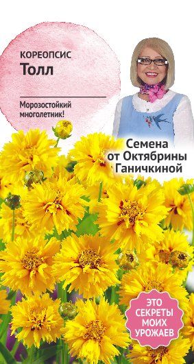 цКореопсис Толл 0,1г (семена от Ганичкиной)