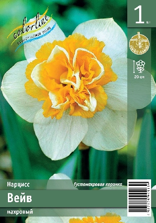 Нарцисс ЭКОНОМ-СЕРИЯ ВЕЙВ (1 шт)
