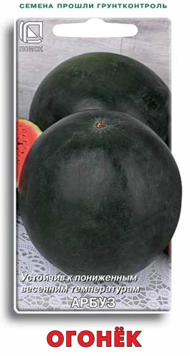 Арбуз Огонек 15шт