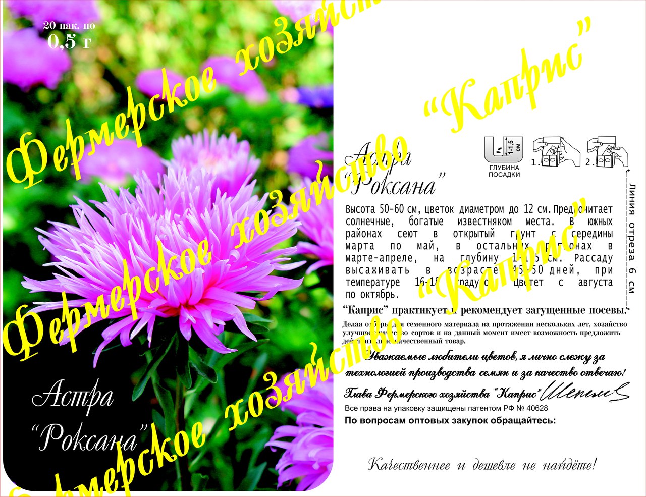 цАстра Роксана