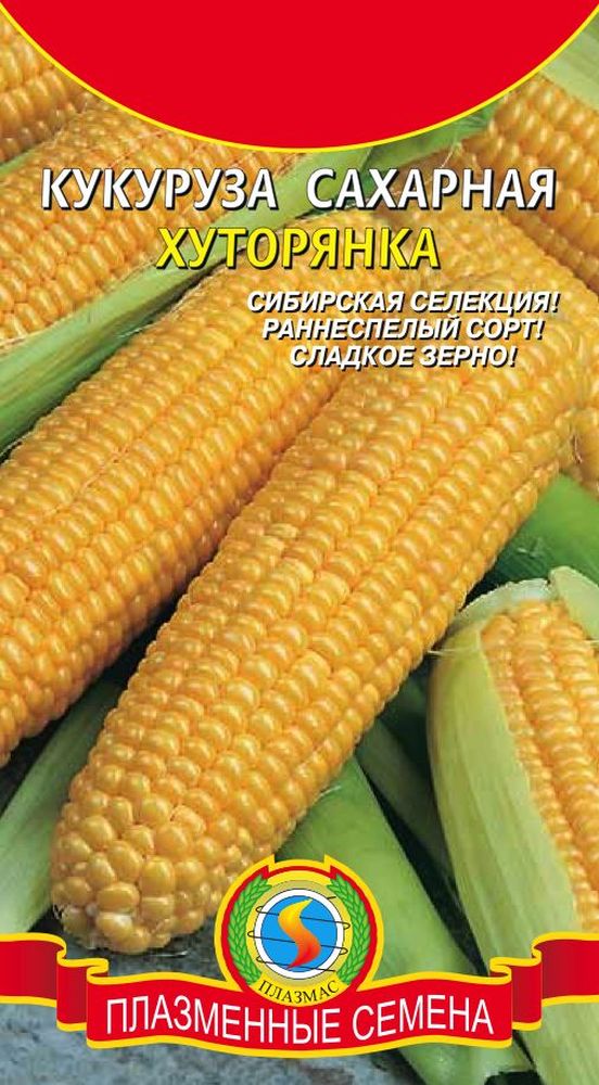 Кукуруза Хуторянка