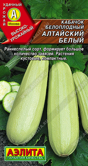 Кабачок Алтайский белый белоплодный 1г