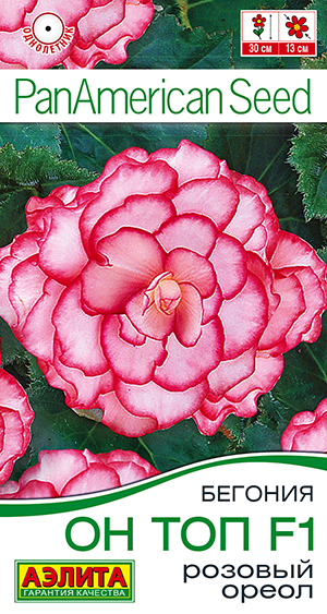 Бегония Он Топ розовый ореол 5шт