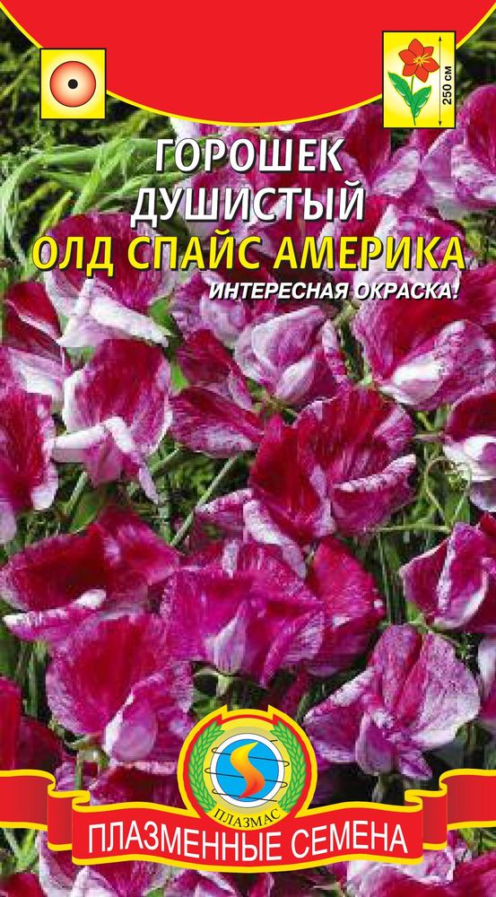 цДушистый горошек Олд Спайс Америка 0,4г