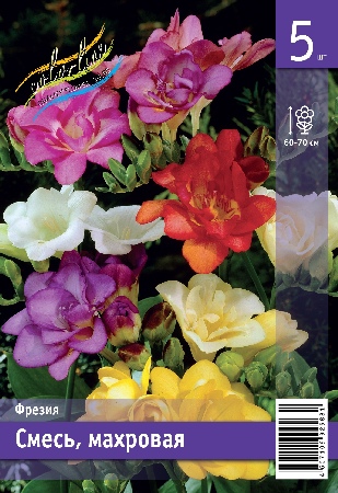 Фрезия ЭКОНОМ-СЕРИЯ СМЕСЬ, МАХРОВ. (5 шт)