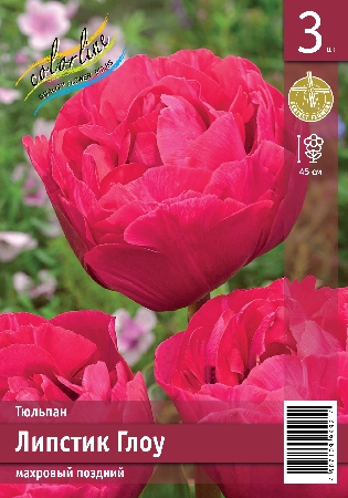Тюльпан ЭКОНОМ-СЕРИЯ ЛИПСТИК ГЛОУ (3 шт)