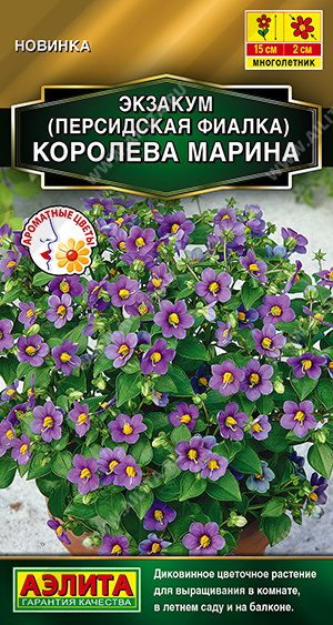 Экзакум Королева Марина 4шт