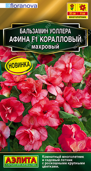 Бальзамин Афина коралловый 5шт