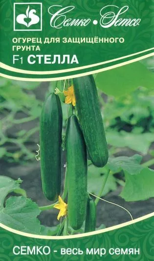 Огурец Стелла 5шт