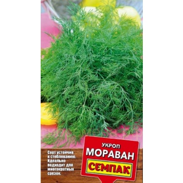 Укроп Мораван 3г (СЕМПАК)