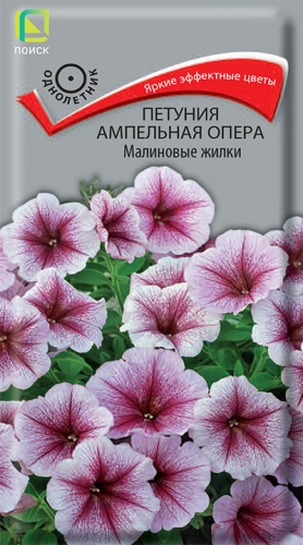 Петуния Опера Малиновые жилки 5шт